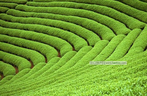 ���w�G��